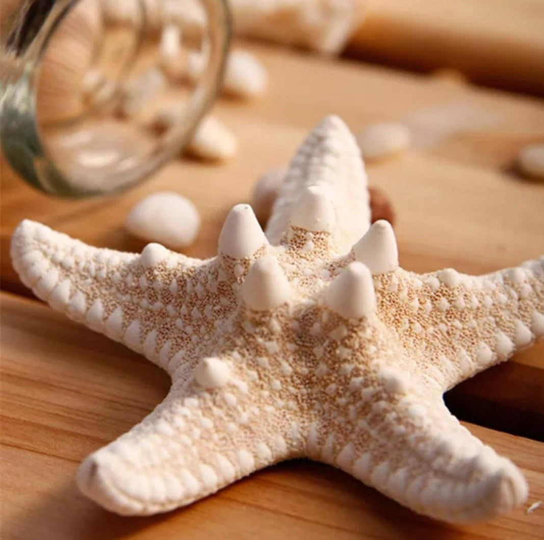 Two Starfish Natural Beach Hair Clips Mini Mermaid Tails Mini Mermaid Tails Ltd